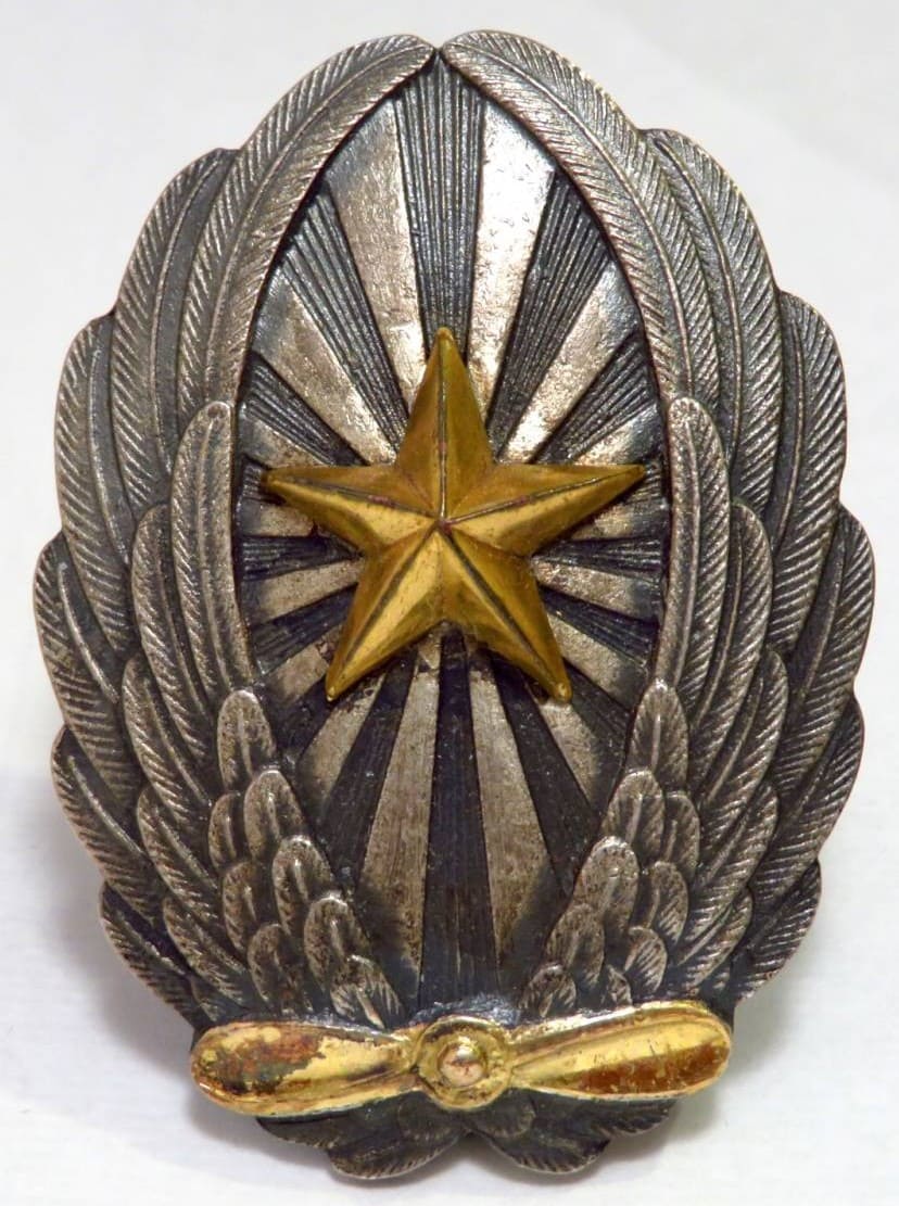 将校飛行機操縦術 修得徽章.jpg