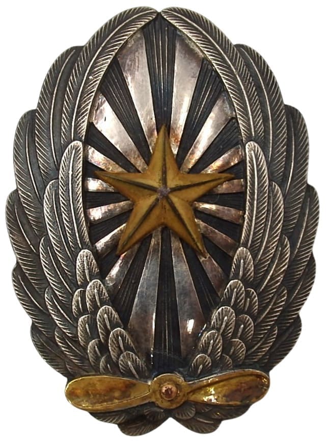 将校用操縦徽章.jpg