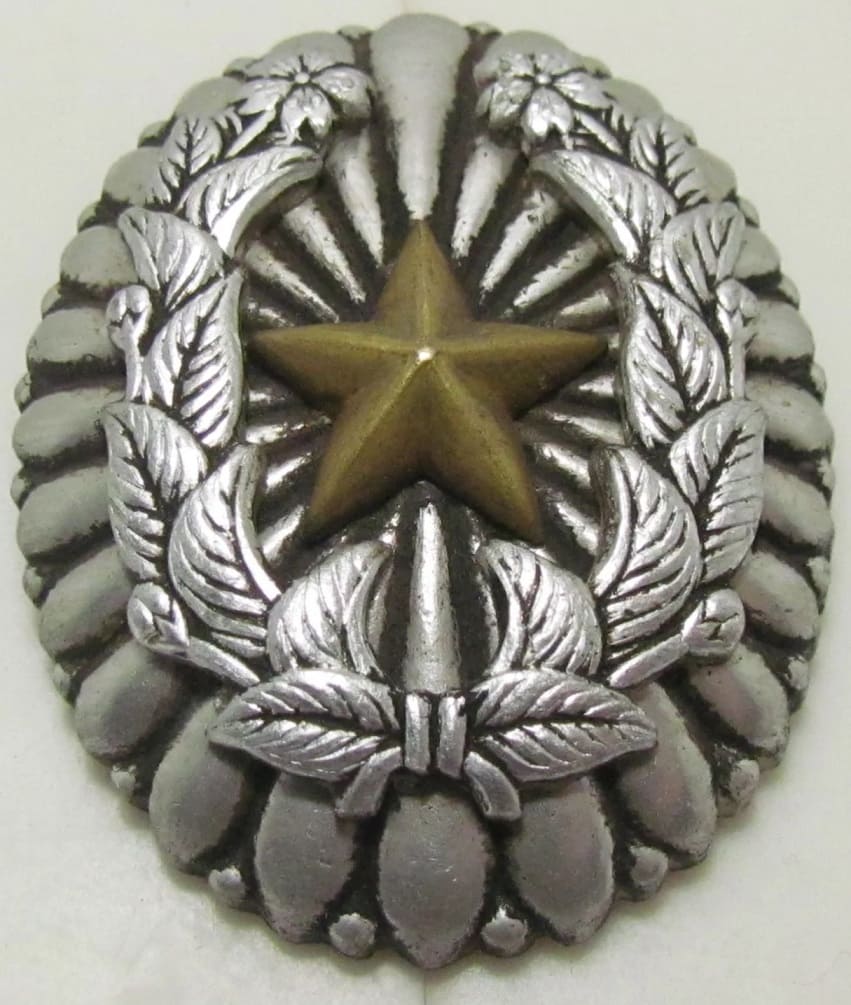 Junior Commanding Officer's Badge.jpg