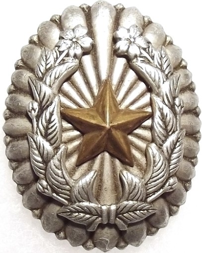 Junior Officer's Badges陸軍尉官隊長章.JPG