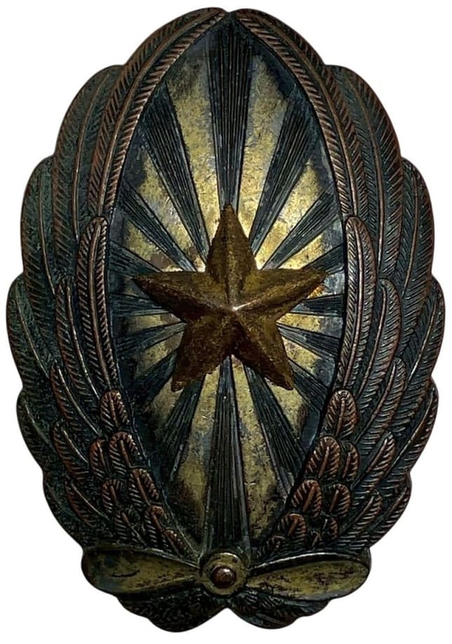 Kumagaya Army Flight School Graduates' Pilot Badge.jpg