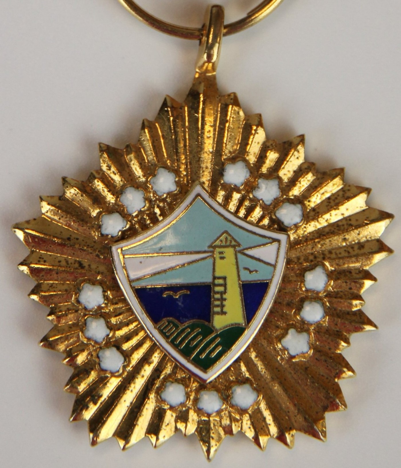 Medal  of Naval   Brilliance 海光獎章.jpg