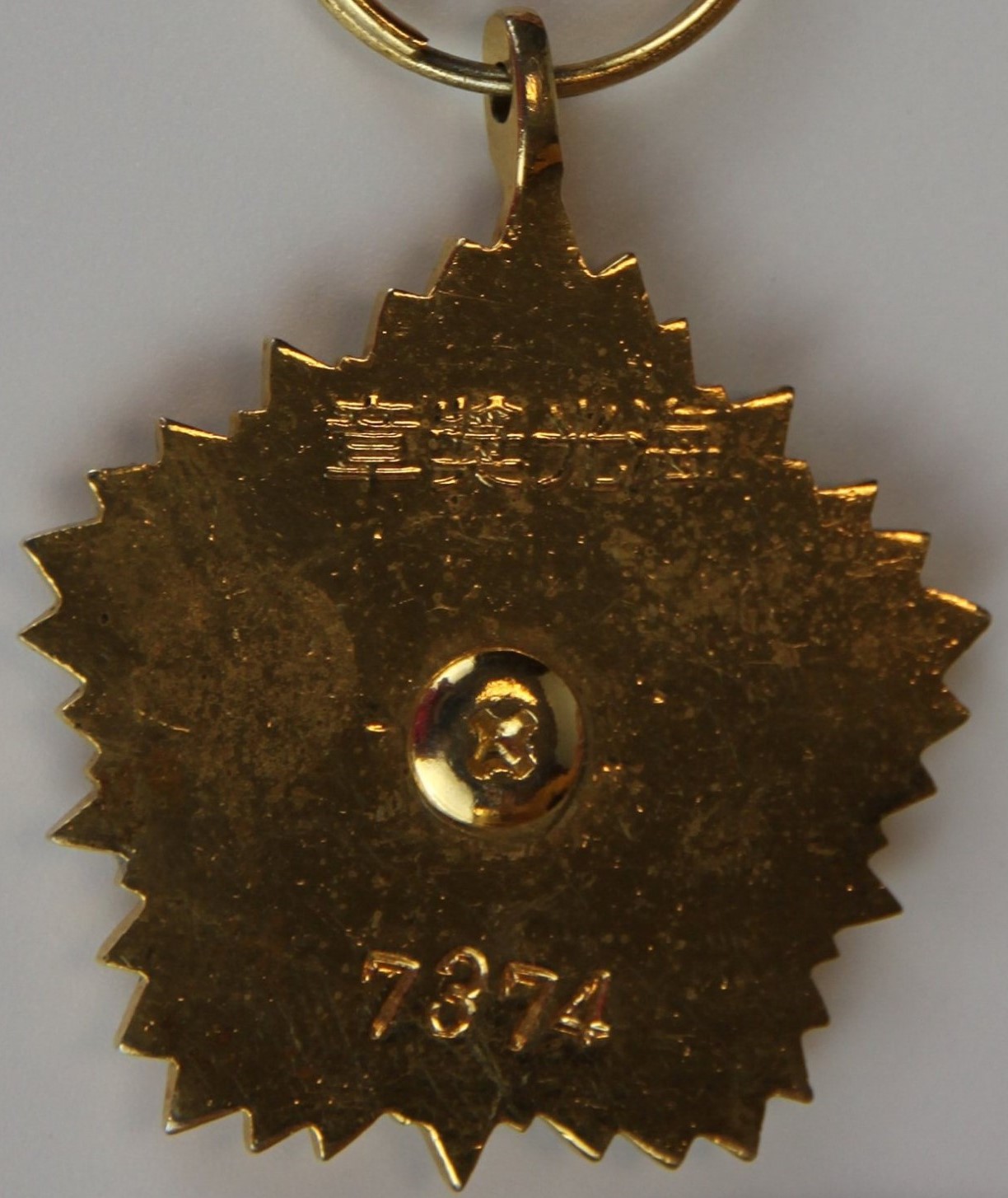 Medal of  Naval  Brilliance  海光獎章.jpg