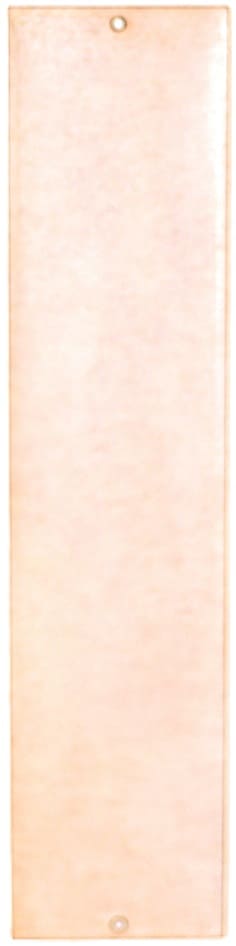 Member of Greater Japanese Disabled Veterans Association.jpg