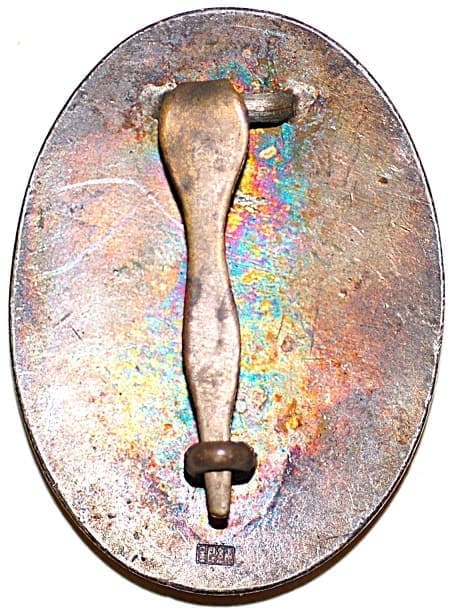 功勞章 Merit  Badge.jpg