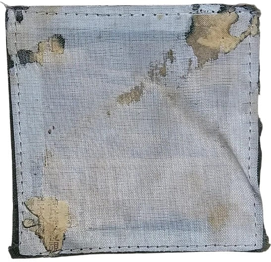 Mobilization-Responder  patch.jpeg