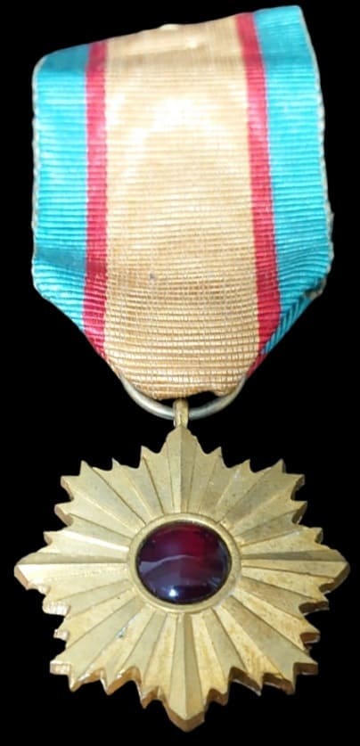 Motosu City Musiroda Military Affairs  Association Medal.jpg