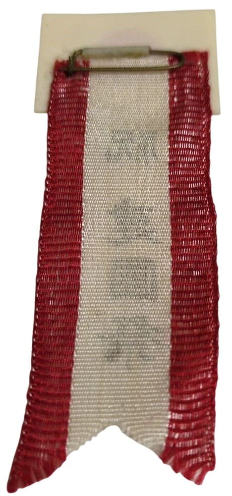 建國祭 National Foundation Day.jpg