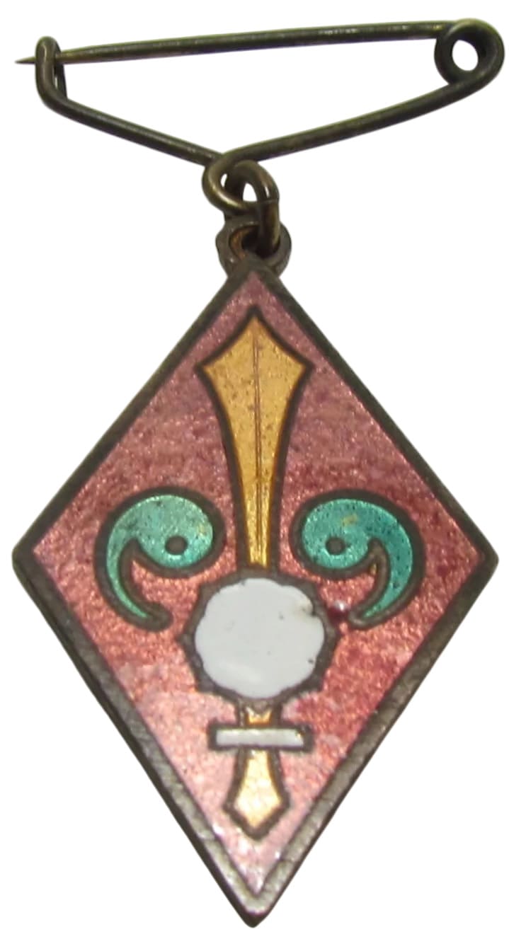 National Foundation Society Badge 建国会徽章.jpg