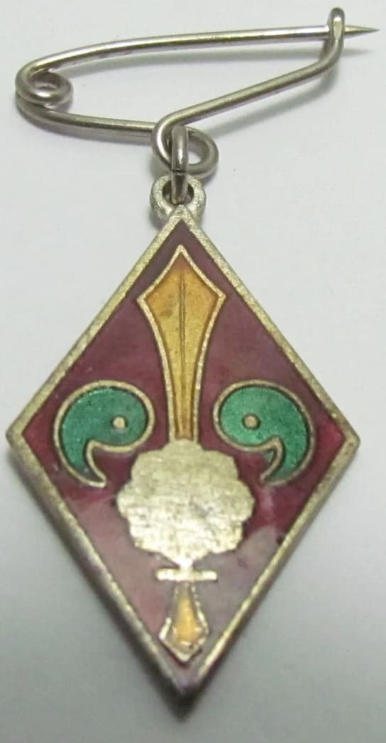 National Foundation Society Kenkokukai Badge 建国会徽章.jpg