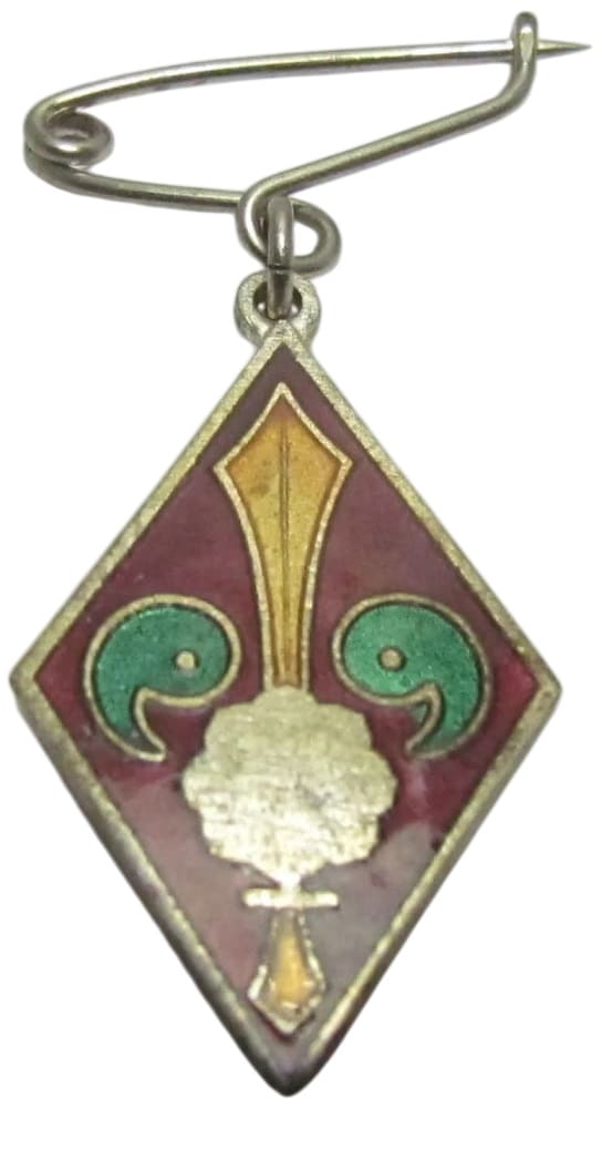 National Foundation Society Kenkokukai Badge 建国会徽章.jpg