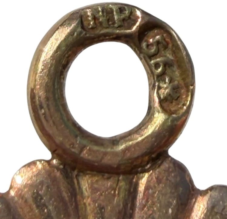 Nichols&Plinke mark.jpg