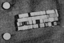 Nobuyoshi  Mutō武藤信義.jpg