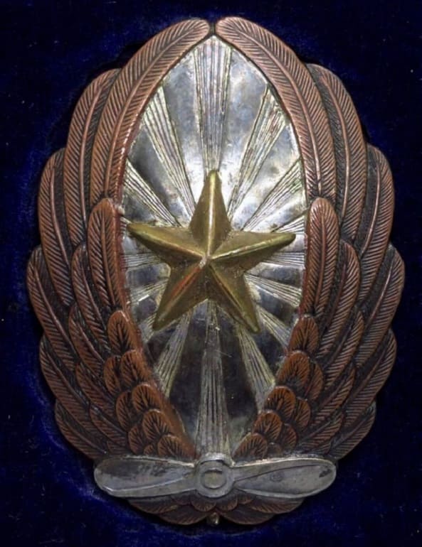 Non-commissioned Officer's  Pilot Badge 下士官操縦徽章.jpg