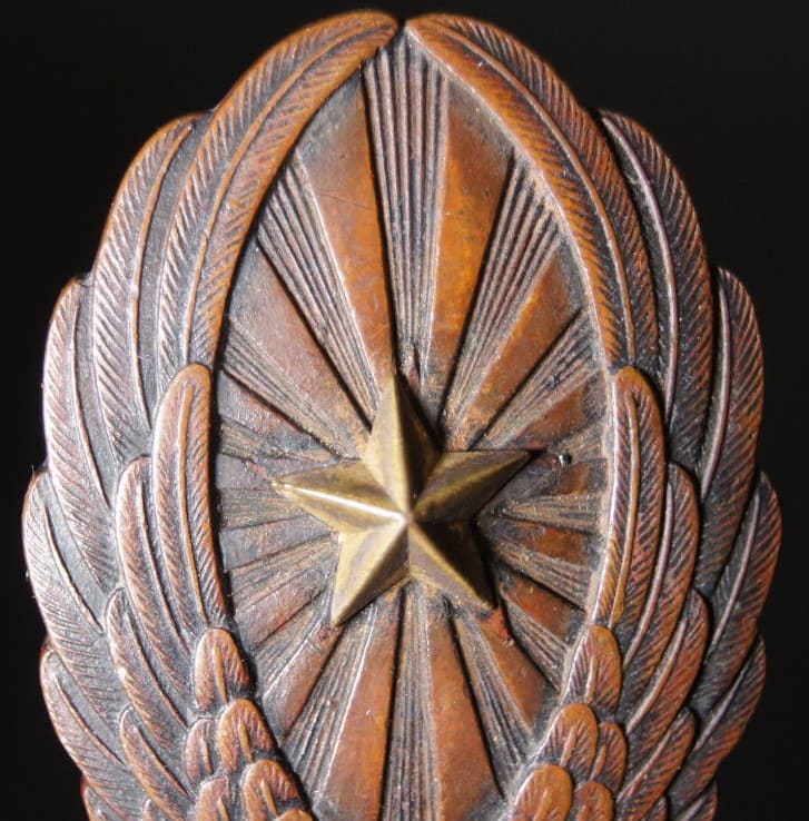 Non-commissioned  Officer's  Pilot Badge.jpg