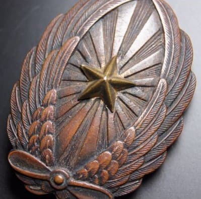 Non-commissioned   Officer's Pilot  Badge.jpg