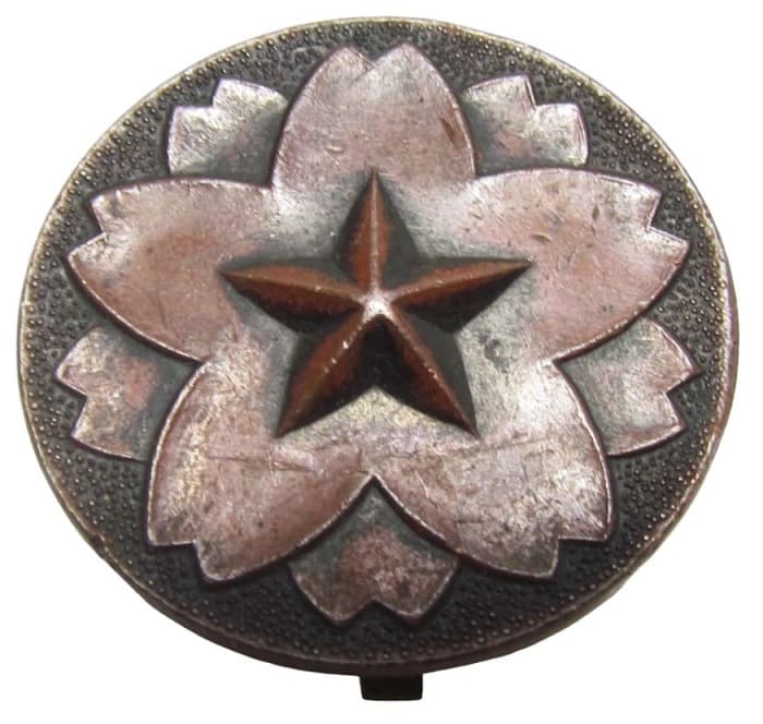 Non-Enlisted Replacement Soldier Military Training Badge.jpg