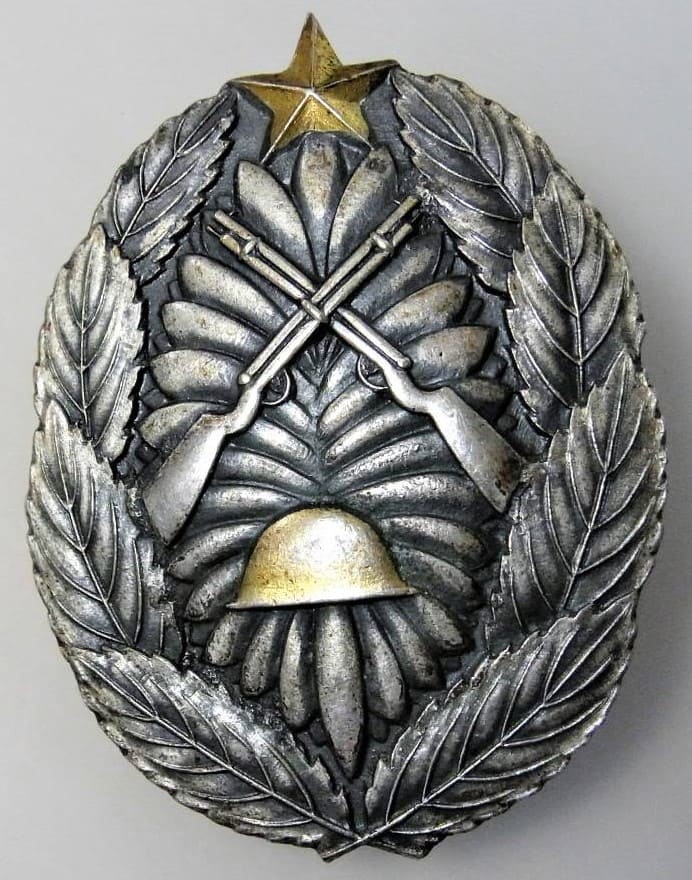 北支駐屯記念章 - North China Stationing Commemorative Badge.jpg