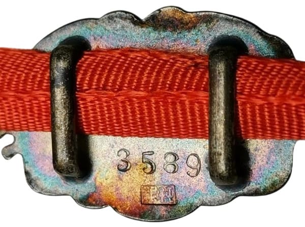 Obidome with Army  Star 3589.jpg