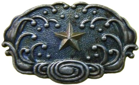 Obidome with Army Star.jpg