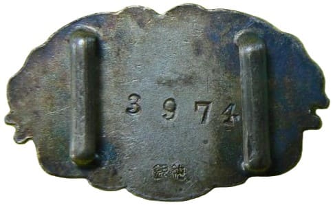 Obidome  with Army Star.jpg