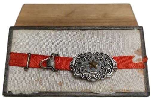 Obidome  with Army Star-Photoroom.jpg