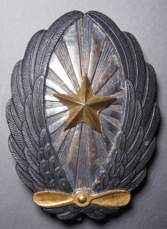 Officer's Pilot Badge.jpg