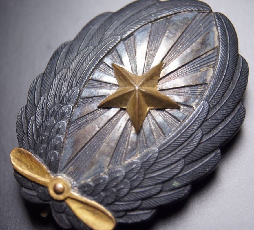 Officer's  Pilot  Badge.jpg