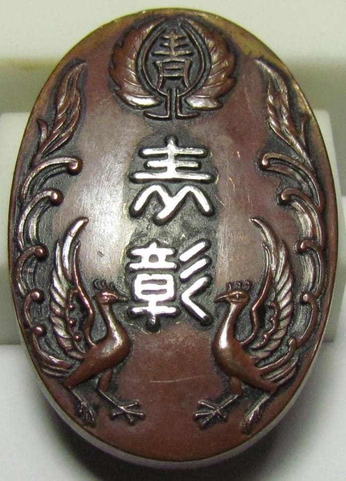 Oji City Youth League Award Badge.jpg