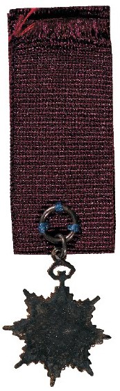 Order of Double  Dragon Miniature.jpg