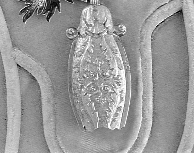 Order of the Holy Spirit  Collar Case.jpg