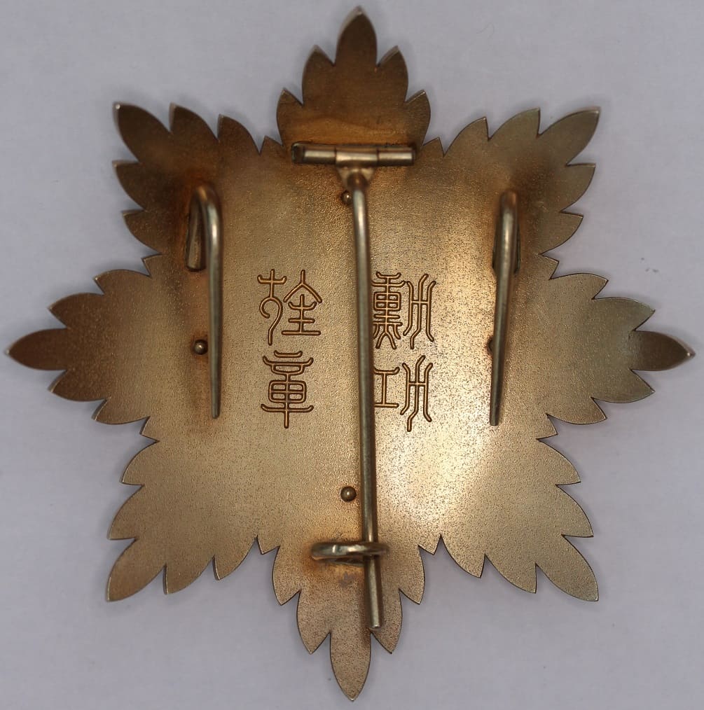 Order of the Illustrious Dragon Breast  Star unmarked.jpg