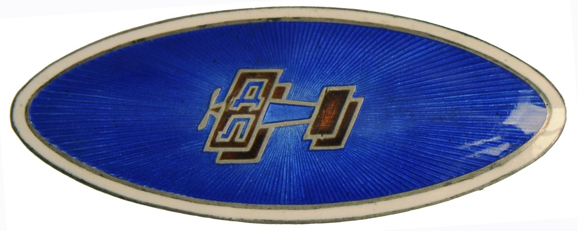 Oval Badge Broche of Dobrolyot.jpg