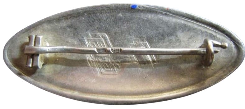Oval Badge-Broche of Dobrolyot.jpg