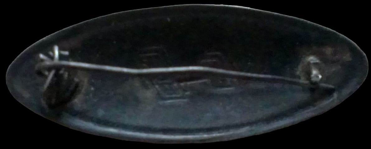 Овальный  знак-брошь   Добролёта.jpg