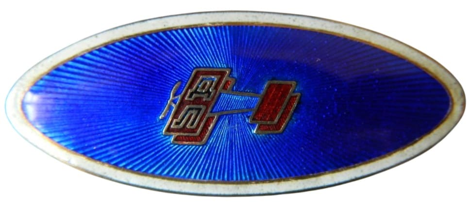 Овальный знак-брошь Добролёта.jpg