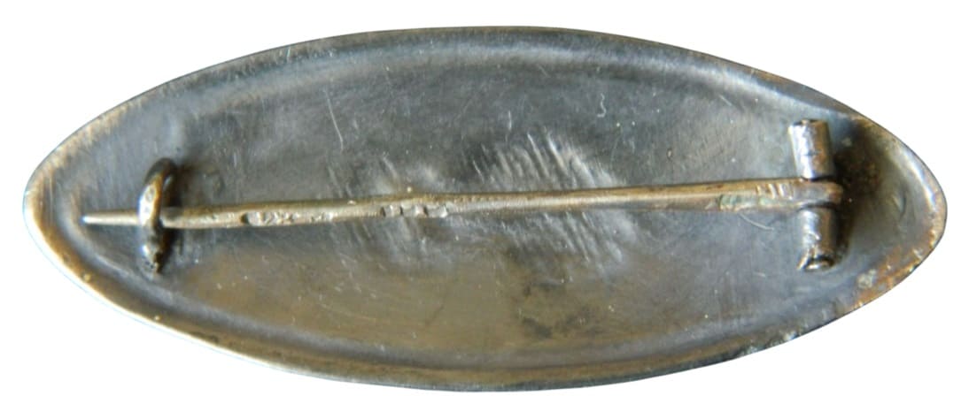Овальный  знак-брошь  Добролёта .jpg