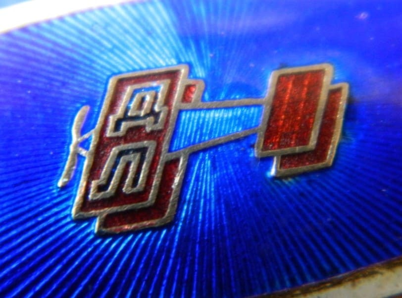 Овальный  знак-брошь Добролёта.jpg