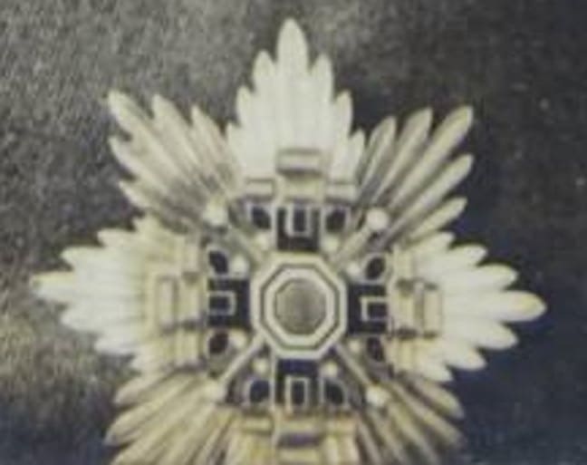Pillars of the State breast star.jpg