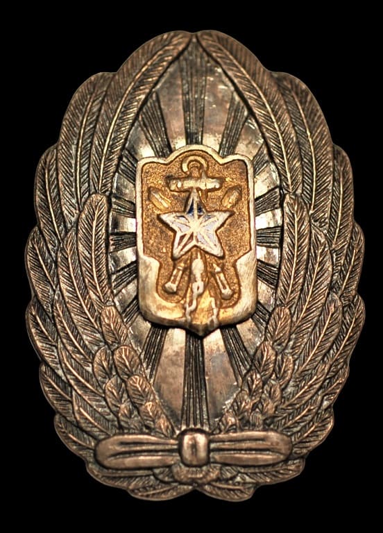Pilot Imperial Military Reservist Association   Badge.jpg