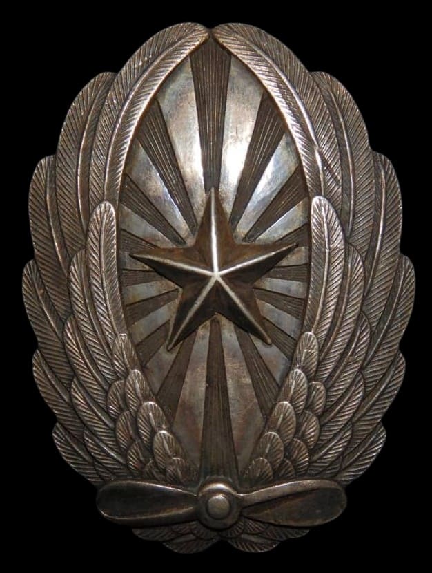 操縦術修得徽章 Piloting Skills Mastery Badge .jpg