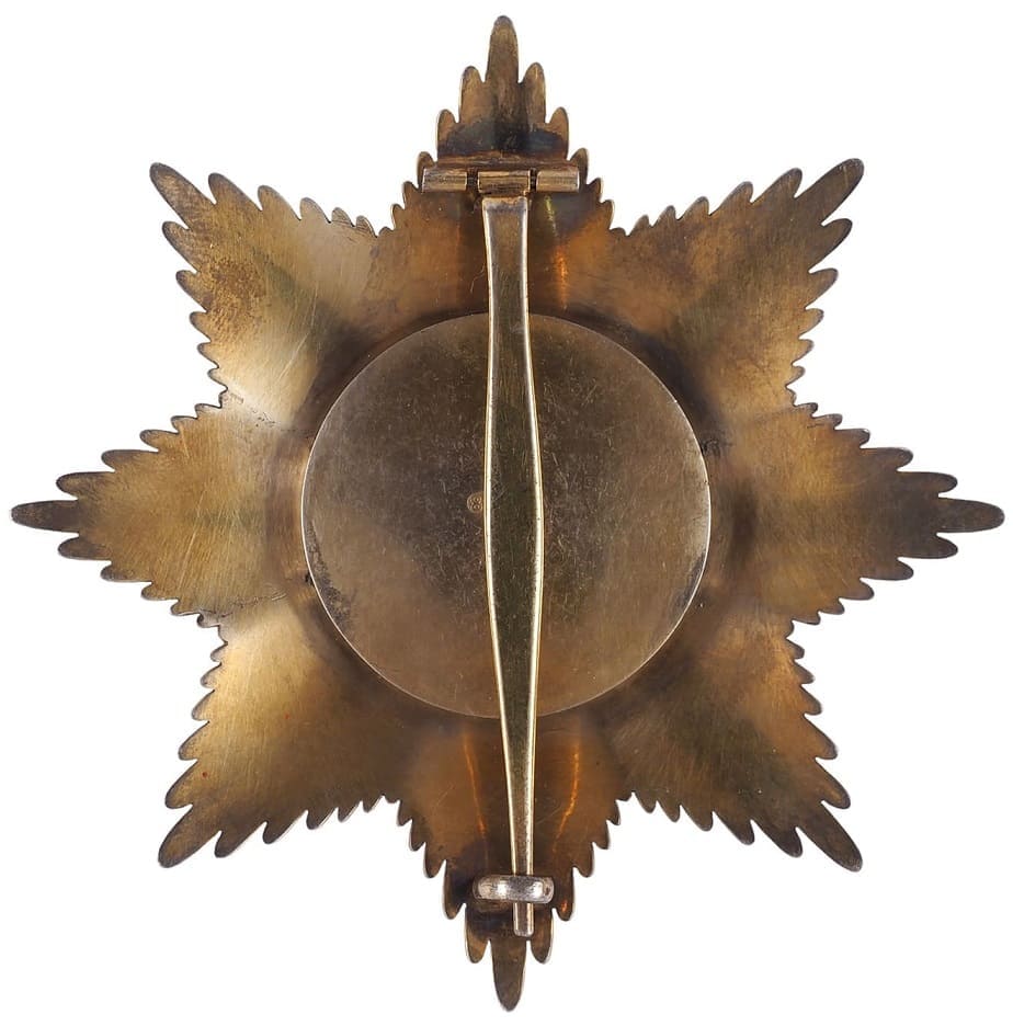 Privately-comissioned  fake breast star.jpg