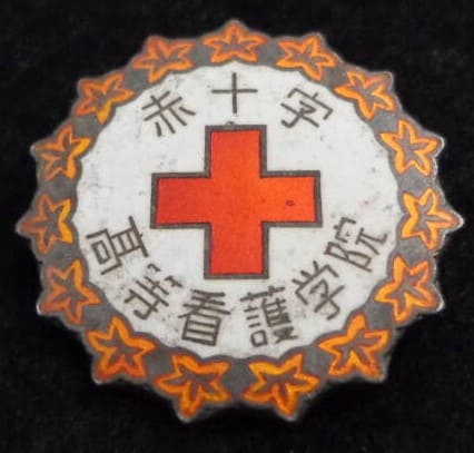 Red Cross Higher College of Nursing Badge.jpg