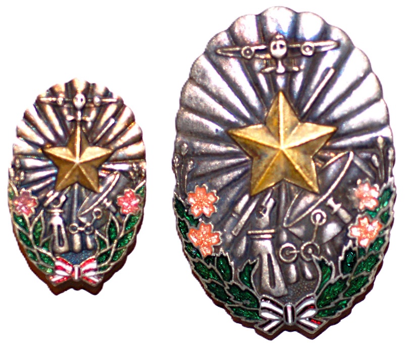 Reduced vs. full-size badges.JPG