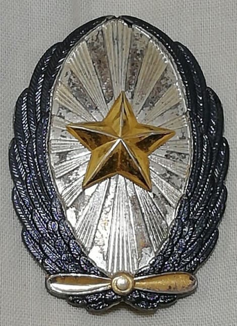 Replica of Japanese  Pilot badge made by Nakata.jpg