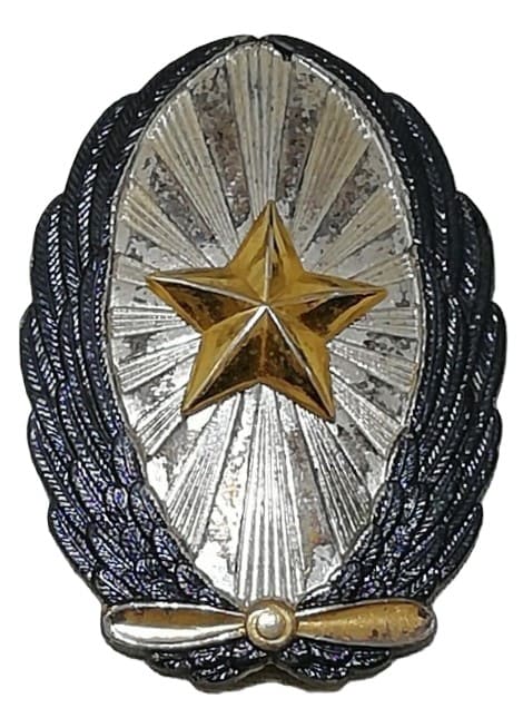 Replica of Japanese  Pilot badge made by Nakata.jpg