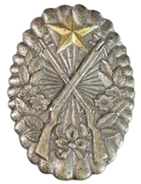 Rifle  Shooting Qualification Badge.jpg