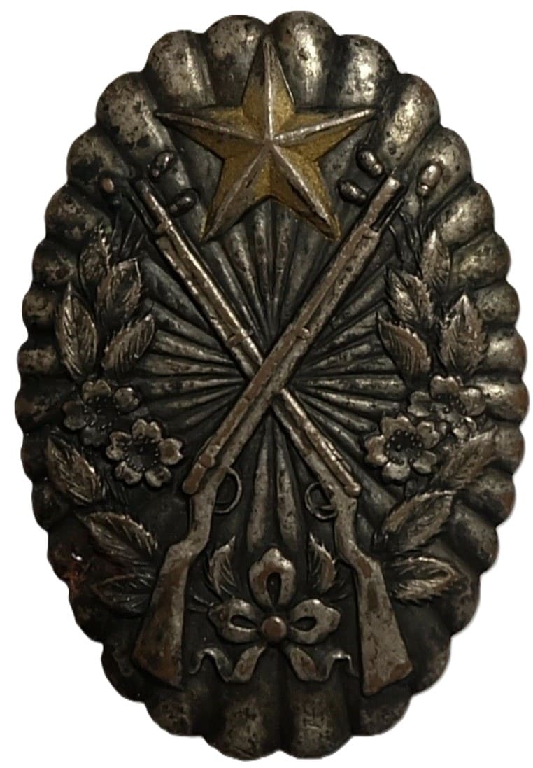 Rifle Shooting Qualification Badge.jpg