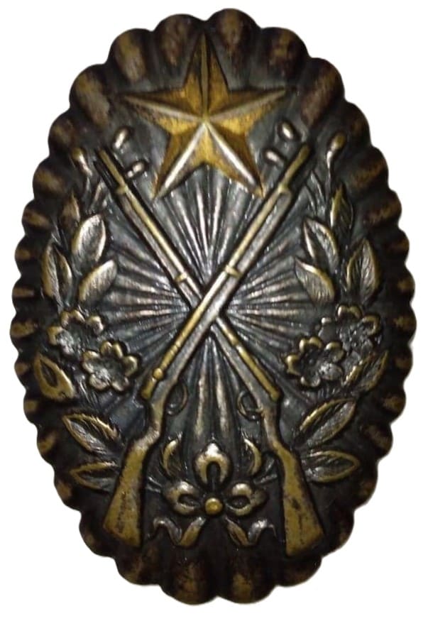 Rifle  Shooting Qualification Badge.jpg