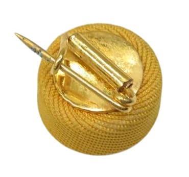 Rosette reverse.jpg